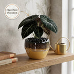 Drip Glaze Ceramic Planter Pot 11cm – Artistic Indoor Decorative Plant Holder