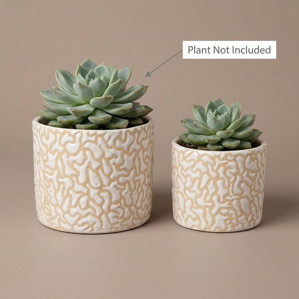 White Textured Ceramic Planter Set of 2 – Modern Indoor Decorative Pots Main image