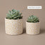 White Textured Ceramic Planter Set of 2 – Modern Indoor Decorative Pots