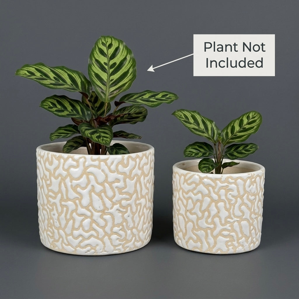 White Textured Ceramic Planter Set of 2 – Modern Indoor Decorative Pots