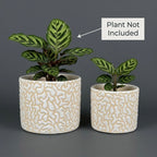 White Textured Ceramic Planter Set of 2 – Modern Indoor Decorative Pots
