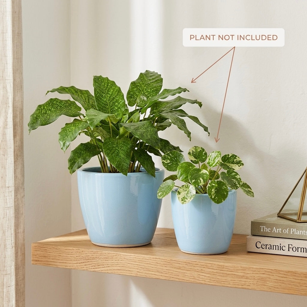 Sky Blue Ceramic Planter Set of 2 – Minimal Indoor Decorative Plant Pots