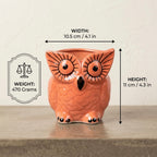 Owl Ceramic Planter Pot 10.5cm – Cute Decorative Indoor Plant Holder