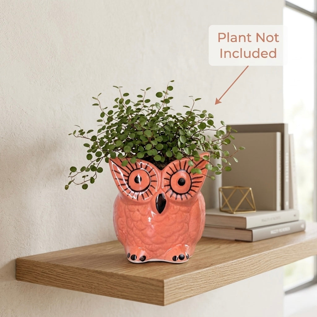 Owl Ceramic Planter Pot 10.5cm – Cute Decorative Indoor Plant Holder