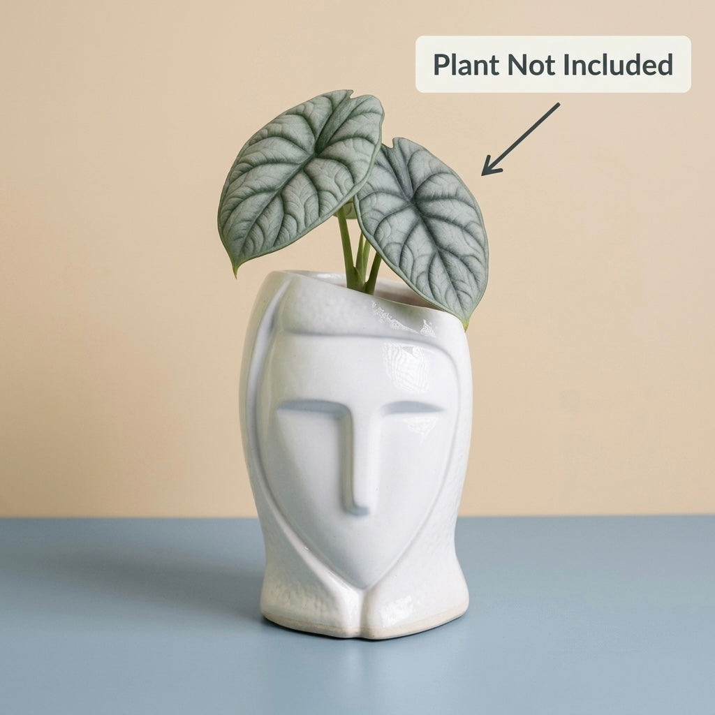 Modern Face Ceramic Planter 19.5cm – Tall Artistic Indoor Decorative Pot