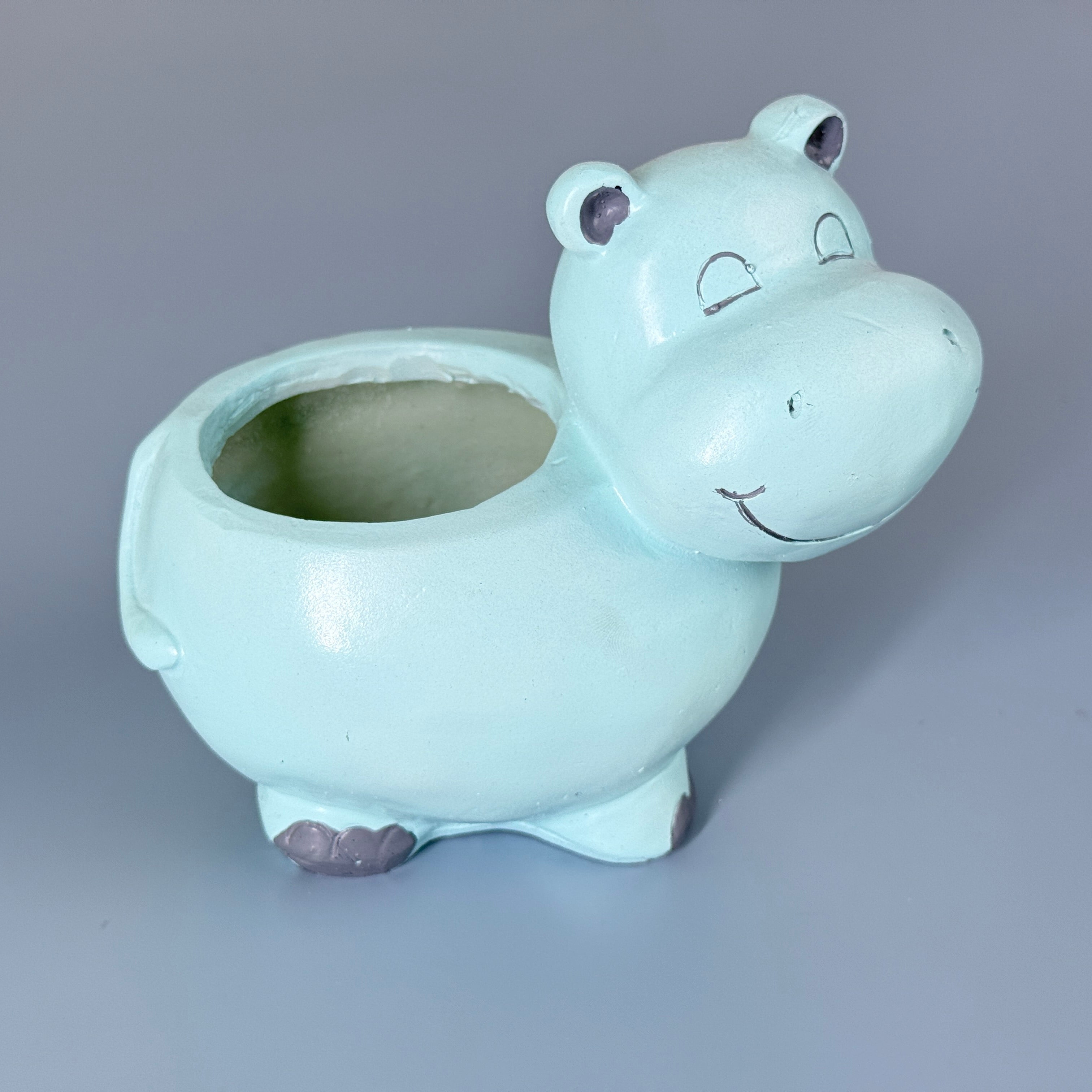 Cute Hippo Resin Planter Pot – Adorable Animal Succulent Pot for Desk & Home Décor