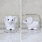 Minimalist White Elephant Ceramic Plant Pot | Cute Animal Succulent Planter for Home & Desk Decor