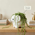 Minimalist White Elephant Ceramic Plant Pot | Cute Animal Succulent Planter for Home & Desk Decor