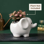 Minimalist White Elephant Ceramic Plant Pot | Cute Animal Succulent Planter for Home & Desk Decor
